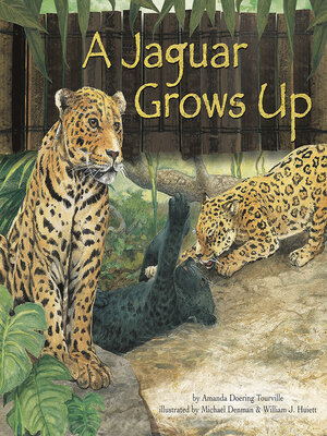 cover image of A Jaguar Grows Up